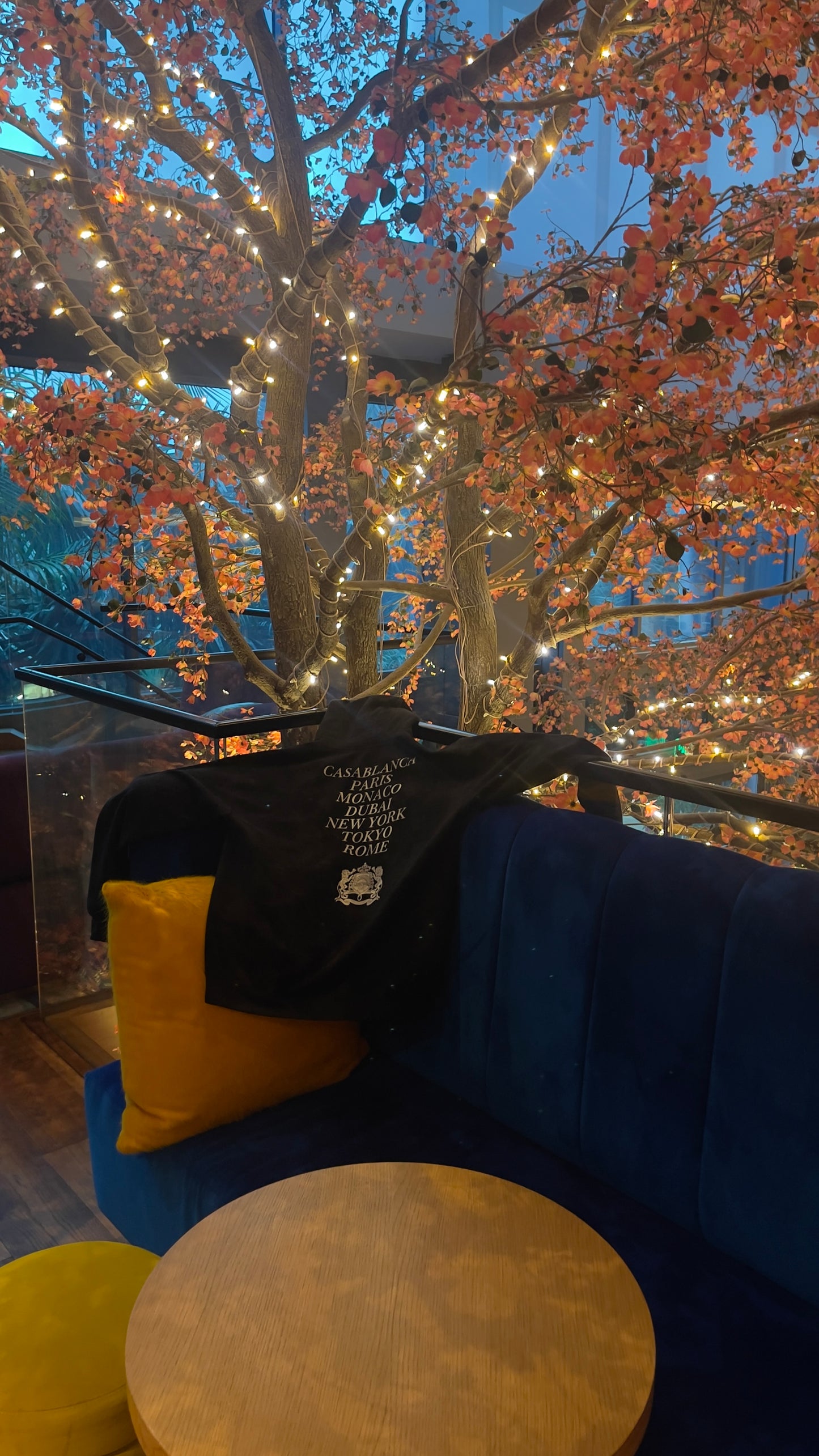 Limited Edition Skyz Premium Hoodie