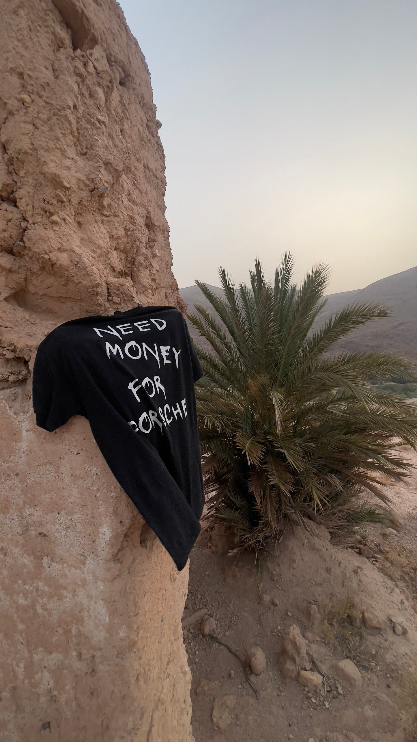 Need Money For Porsche Shirt