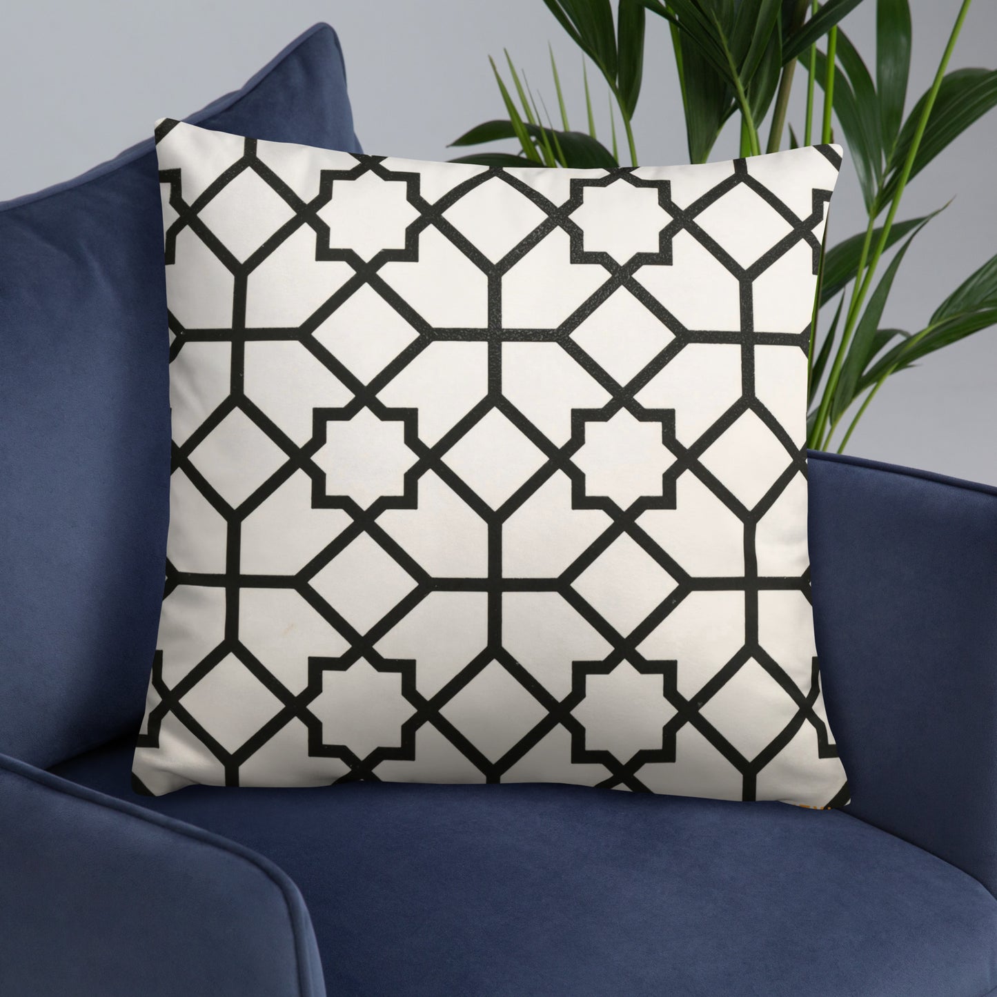 Black & Beige Pillow